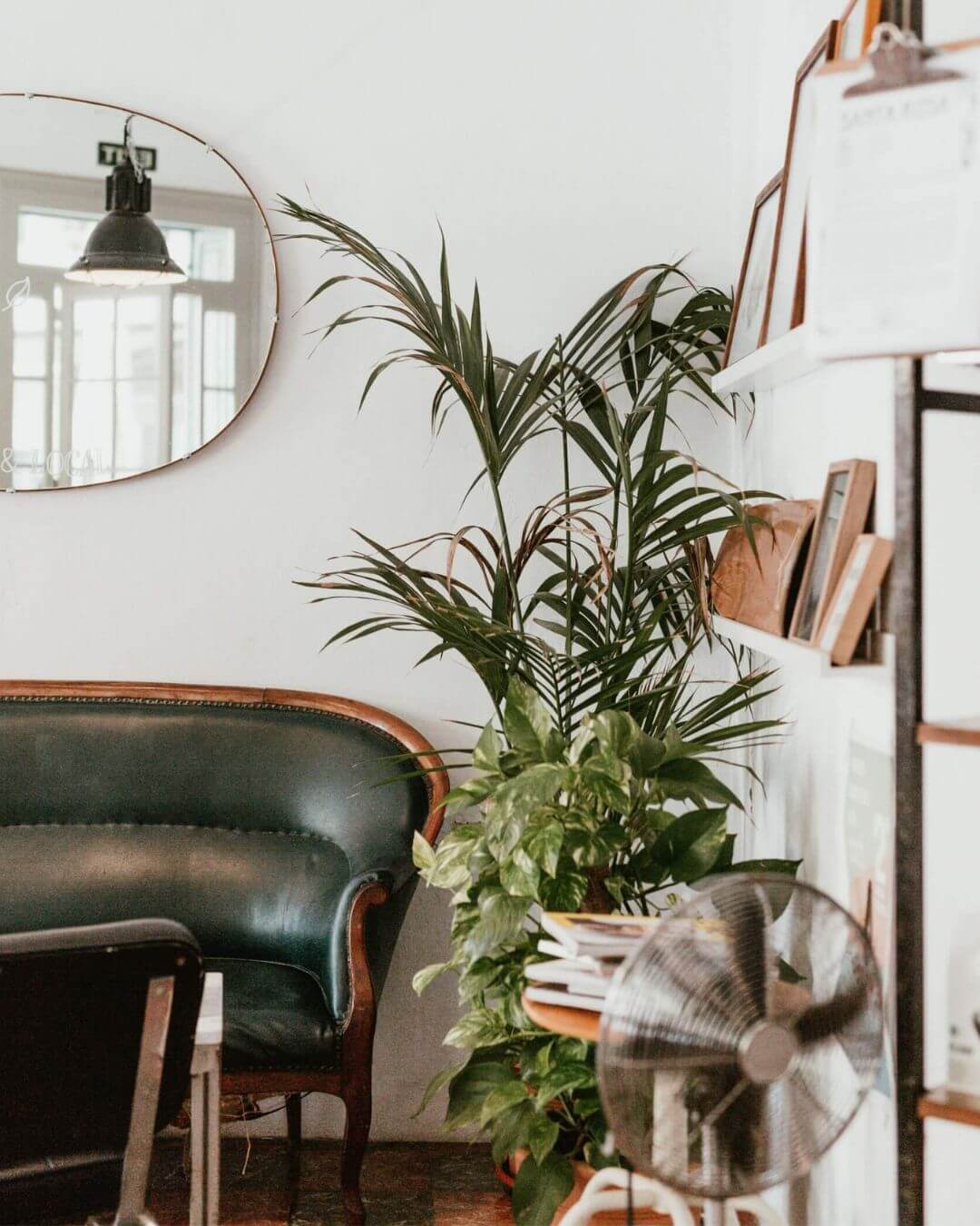 cabinet naturopathie soin tarifs Paris