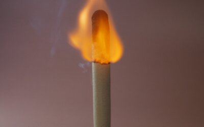 L&rsquo;inflammation chronique de bas grade : ce feu silencieux que le corps entretient sans le dire