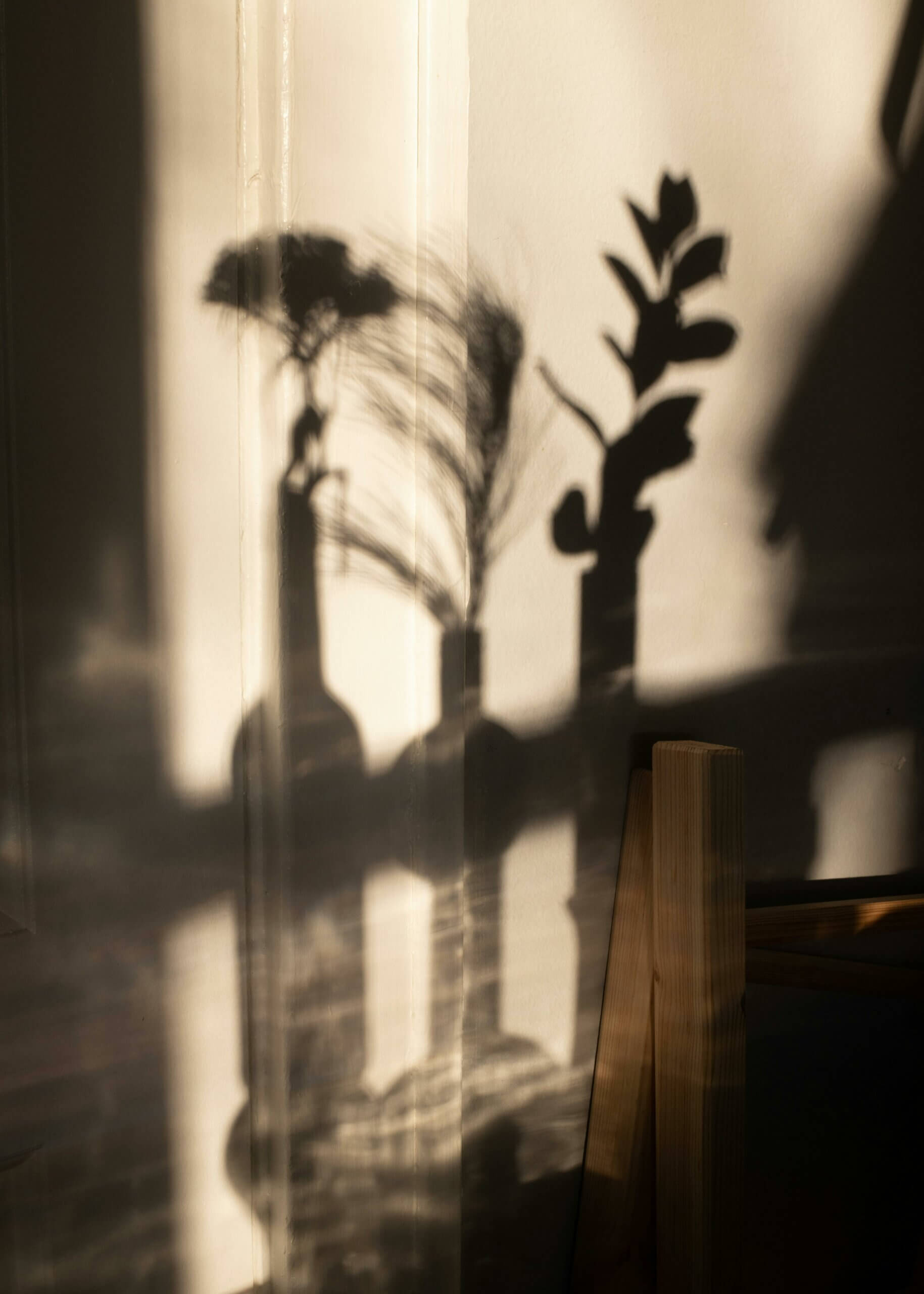 ambiance lumière/ombre cabinet 11 d'Aglaé